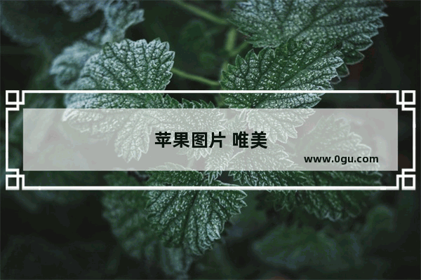 苹果图片 唯美