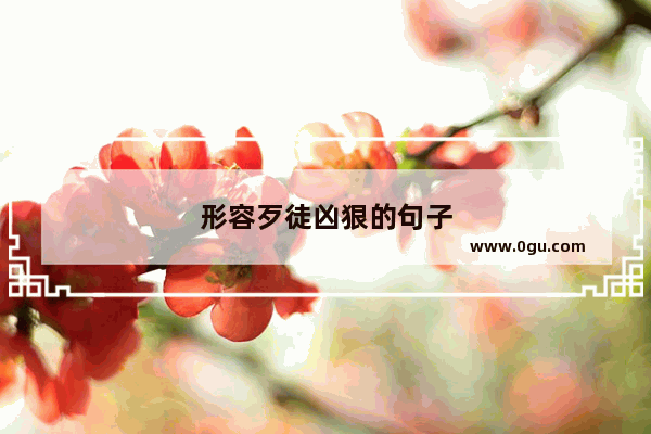 形容歹徒凶狠的句子