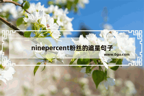 ninepercent粉丝的追星句子