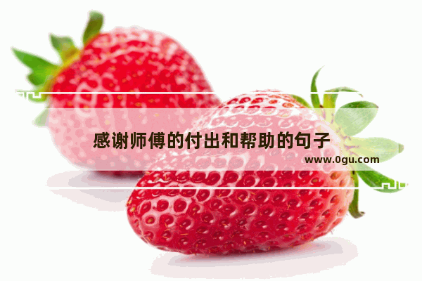 感谢师傅的付出和帮助的句子