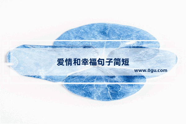 爱情和幸福句子简短