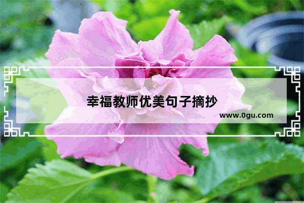 幸福教师优美句子摘抄