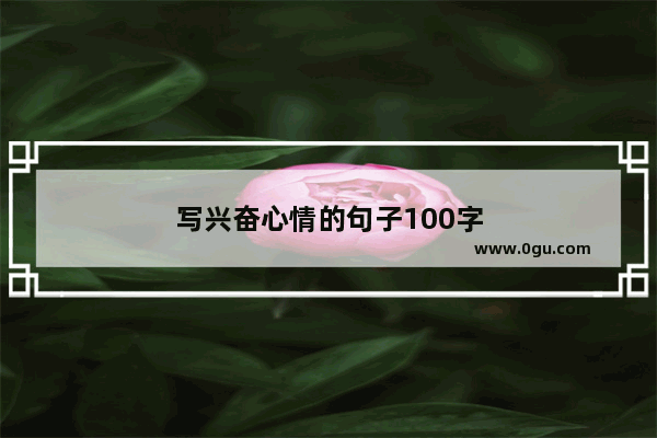 写兴奋心情的句子100字