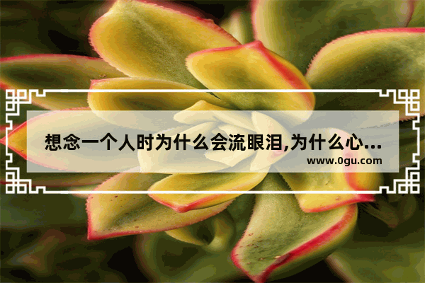 想念一个人时为什么会流眼泪,为什么心里会莫名的难过 莫名的想哭 眼泪一直流