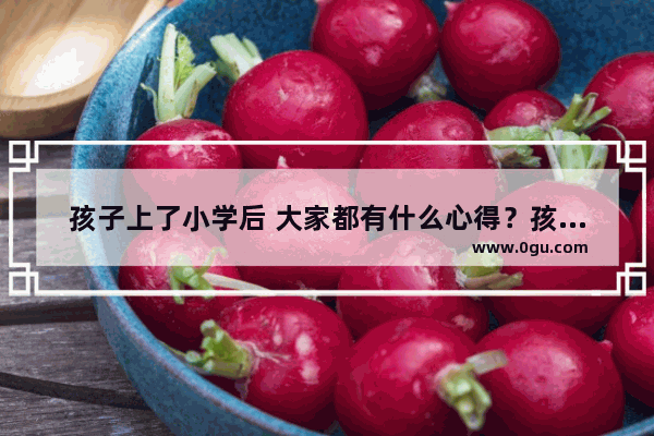 孩子上了小学后 大家都有什么心得？孩子的小学生活该如何规划？重点培养哪些能力