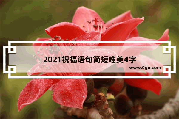 2021祝福语句简短唯美4字