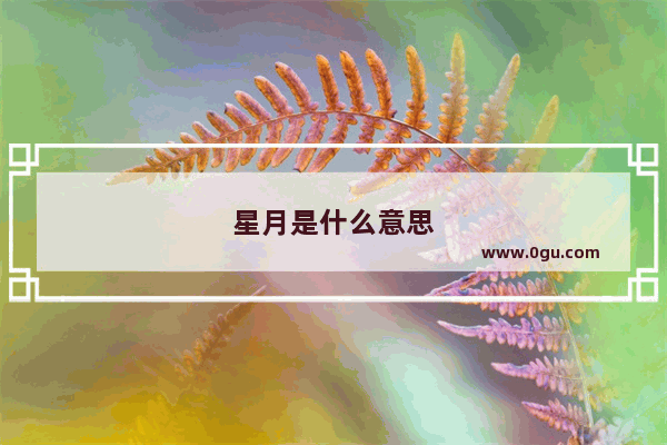 星月是什么意思