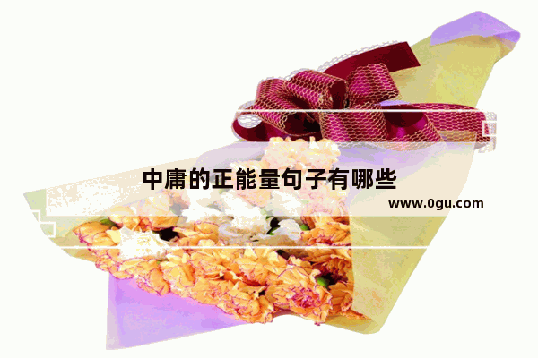 中庸的正能量句子有哪些