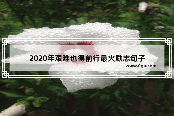 2020年艰难也得前行最火励志句子