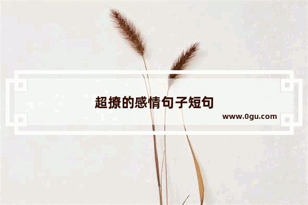 超撩的感情句子短句