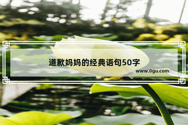 道歉妈妈的经典语句50字