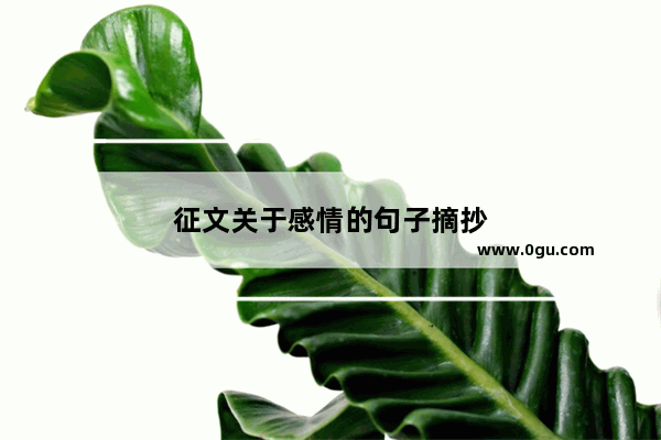 征文关于感情的句子摘抄