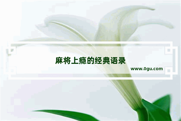 麻将上瘾的经典语录