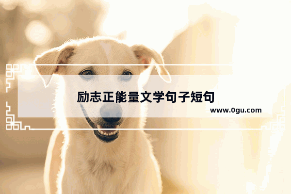 励志正能量文学句子短句