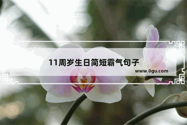 11周岁生日简短霸气句子