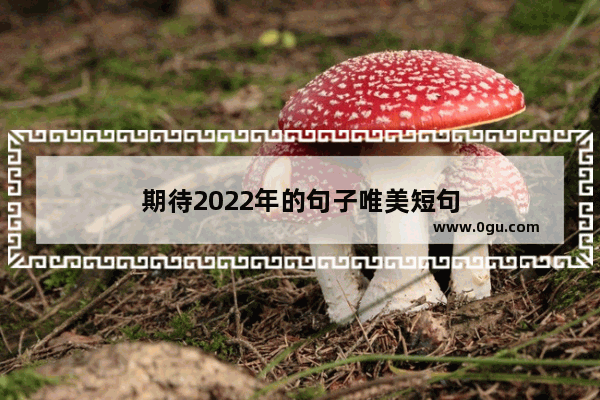 期待2022年的句子唯美短句