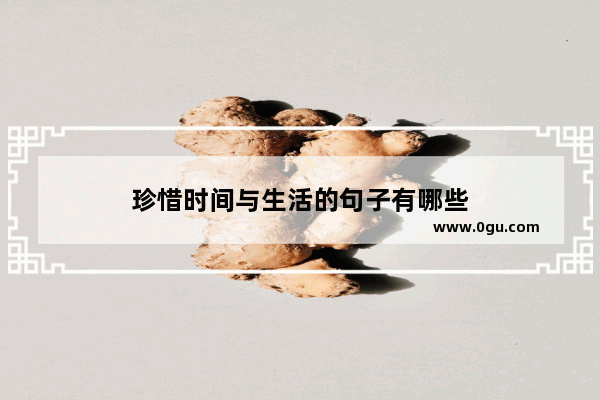 珍惜时间与生活的句子有哪些