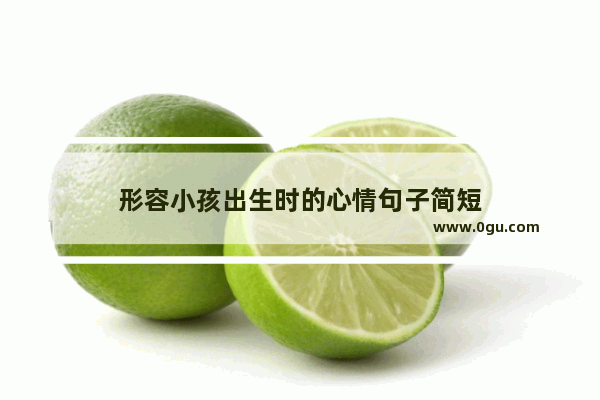 形容小孩出生时的心情句子简短