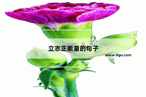 立志正能量的句子