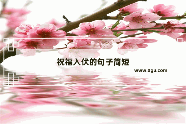 祝福入伏的句子简短