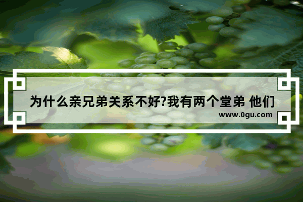 为什么亲兄弟关系不好?我有两个堂弟 他们一见面就老是吵架打架 但是他们两个和我关系都非常好