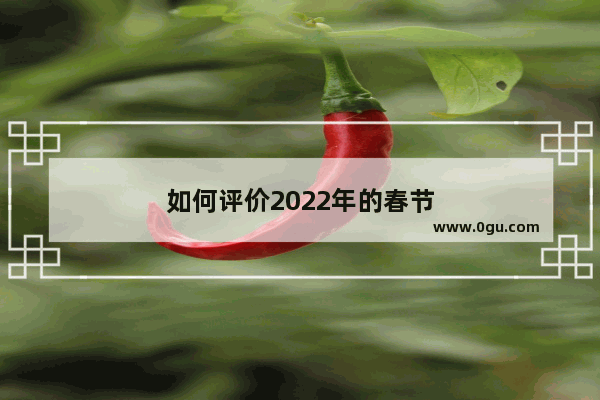 如何评价2022年的春节