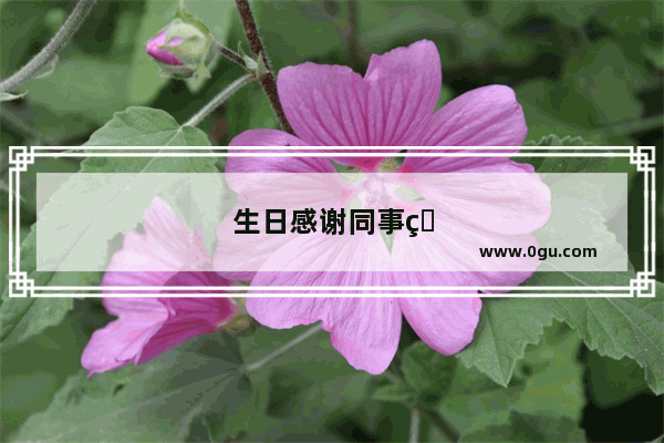 生日感谢同事相聚陪伴的句子