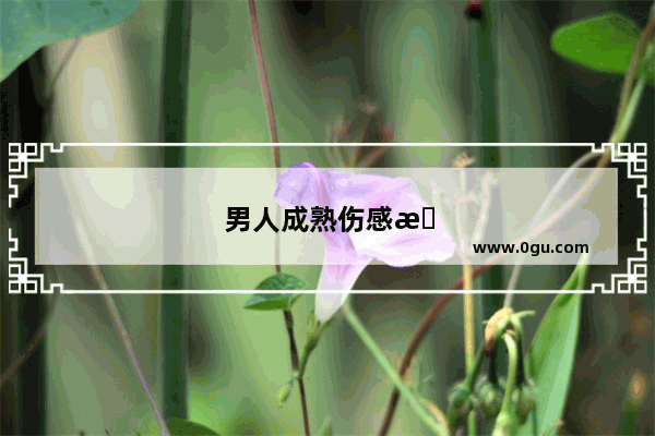 男人成熟伤感情感语录