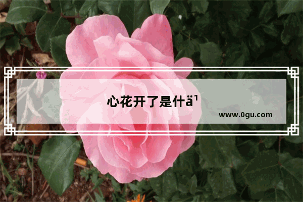 心花开了是什么意思