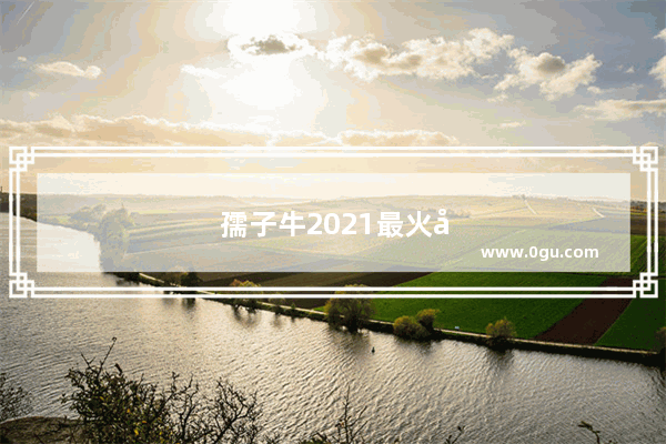 孺子牛2021最火励志句子