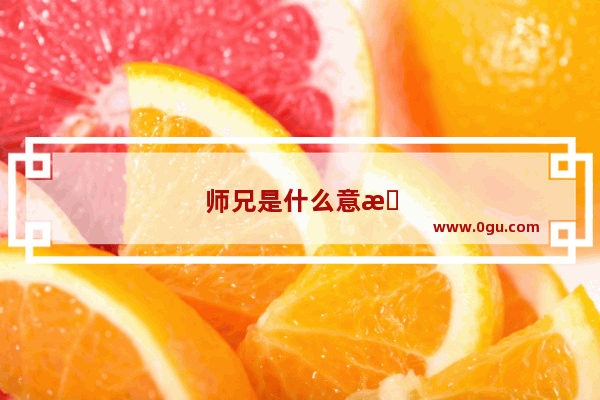 师兄是什么意思