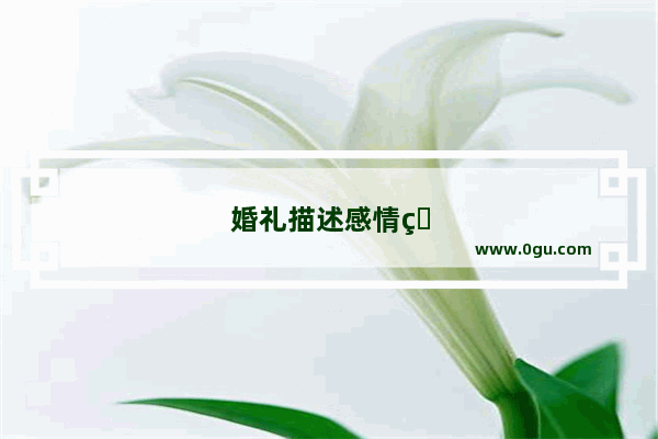 婚礼描述感情的句子简短