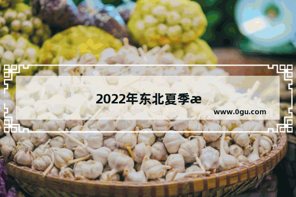 2022年东北夏季最高气温多少