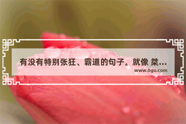 有没有特别张狂、霸道的句子。就像 桀骜不驯飞扬跋扈 这样的 甜蜜又霸道的爱情句子