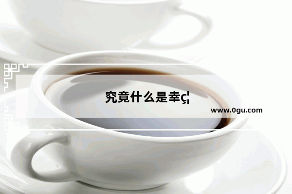 究竟什么是幸福？又怎样才能获得幸福？请具体谈一谈