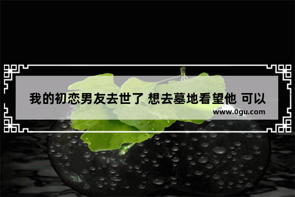 我的初恋男友去世了 想去墓地看望他 可以吗？我该送啥样的花,朋友去世的心情句子