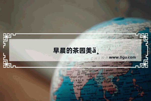 早晨的茶园美丽句子