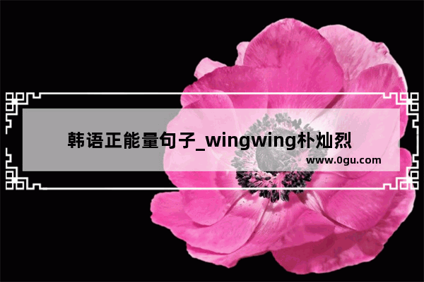 韩语正能量句子_wingwing朴灿烈 音译歌词