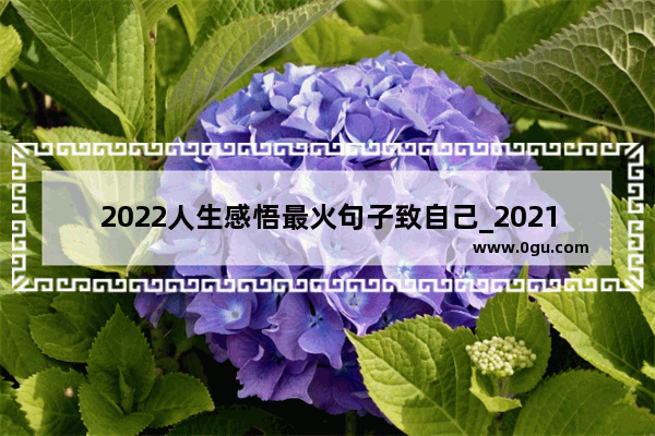 2022人生感悟最火句子致自己_2021很现实的人生感悟说说