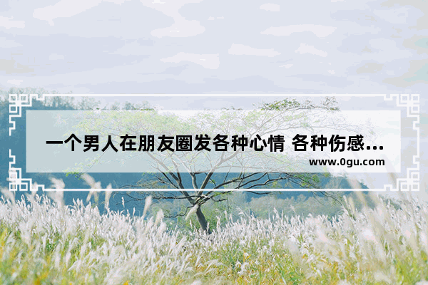 一个男人在朋友圈发各种心情 各种伤感说说 满腹牢骚 是不是懦弱 人生伤心的句子