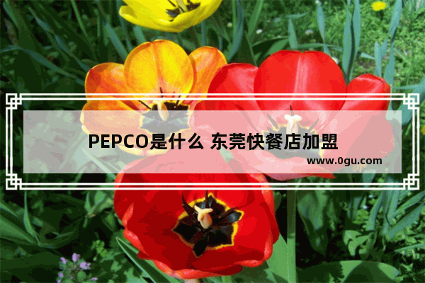 PEPCO是什么 东莞快餐店加盟