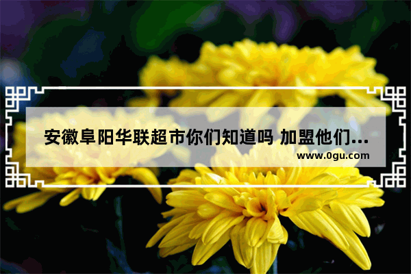 安徽阜阳华联超市你们知道吗 加盟他们的可以吗？赚钱吗_驿起发是哪个公司的