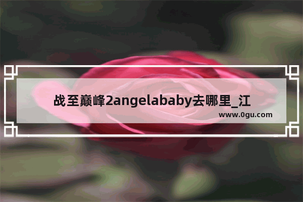 战至巅峰2angelababy去哪里_江西哪有些大牌的米粉