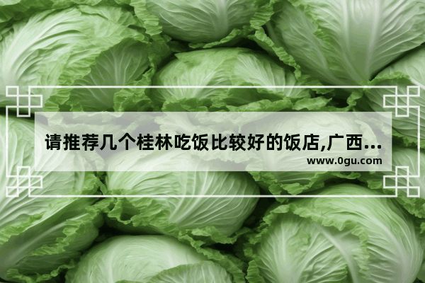 请推荐几个桂林吃饭比较好的饭店,广西榴莲西街小吃加盟店