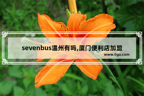 sevenbus温州有吗,厦门便利店加盟奶茶品牌