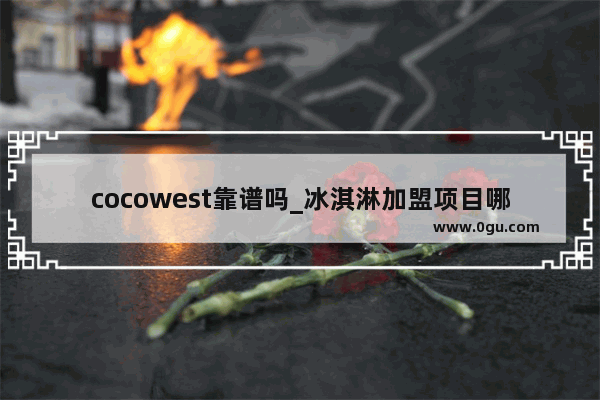 cocowest靠谱吗_冰淇淋加盟项目哪个好