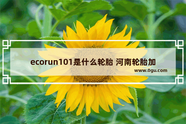 ecorun101是什么轮胎 河南轮胎加盟品牌