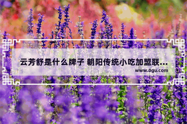 云芳舒是什么牌子 朝阳传统小吃加盟联系方式