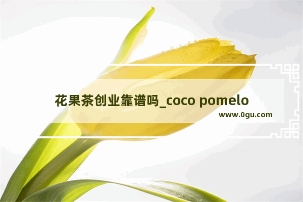 花果茶创业靠谱吗_coco pomelo奶茶是哪里的品牌