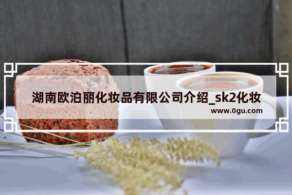 湖南欧泊丽化妆品有限公司介绍_sk2化妆品加盟费多少